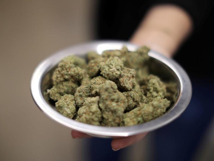 Cannabis Drug