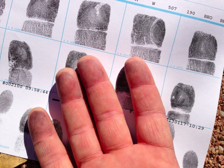 fingerprints