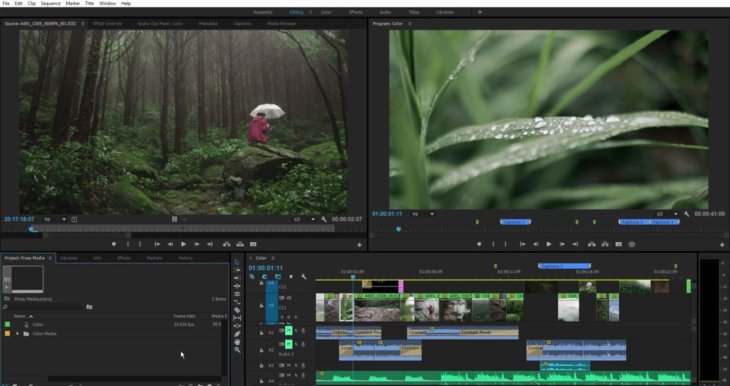 premiere pro editing price