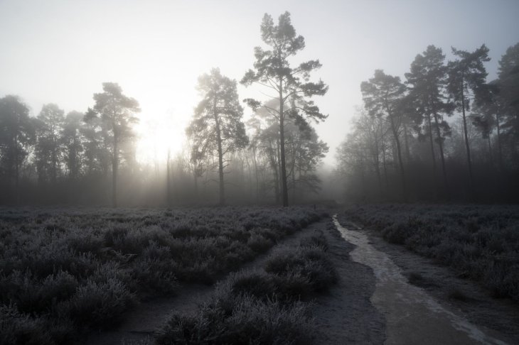 Ioqpz9eatyovevftcbkepu 1440 80