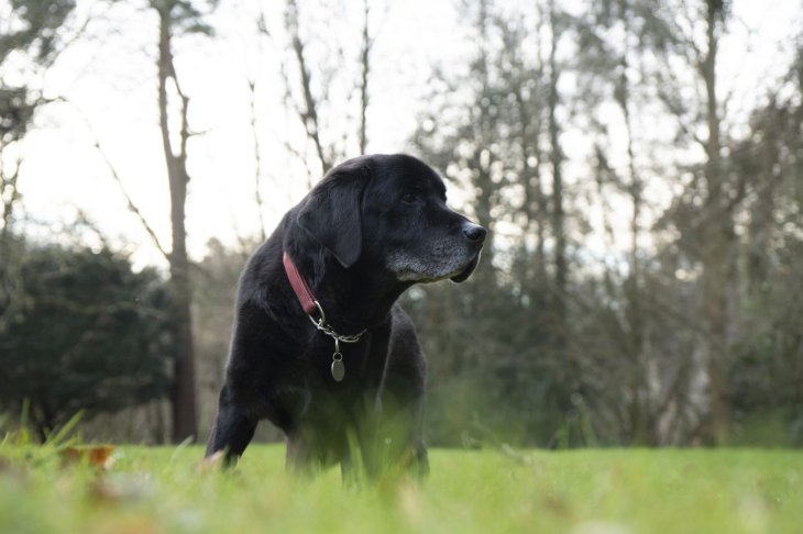 N5z4e5j8jegbbpbtkbmqjt 1440 80