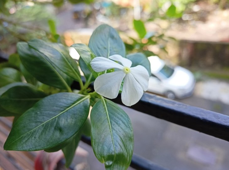 Realme Narzo 20 Pro Review 9