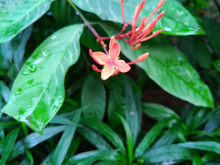 Motorola Moto One Power Review 8