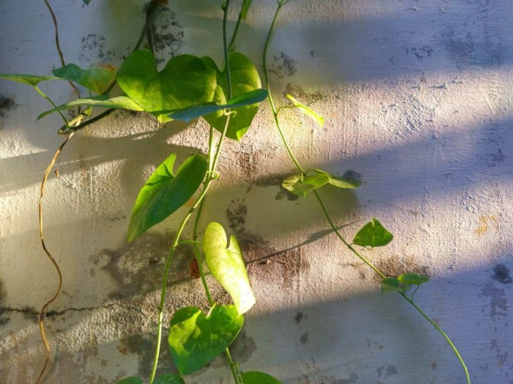 Motorola Moto One Power Review 9