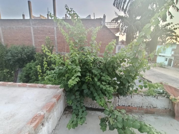 Oppo F17 Pro Review Camera Sample 3