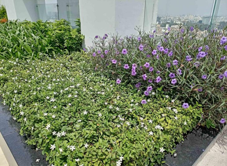 Realme 7 Specifications Camera Sample 3