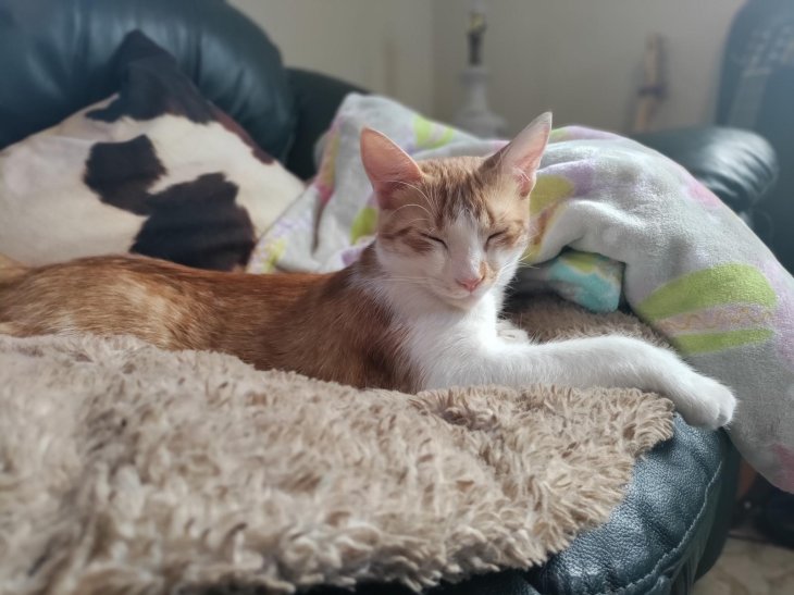 Oneplus Nord N10 5g Review Camera Sample 1