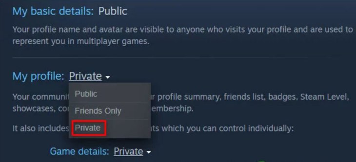 Steam Hide Game Activity