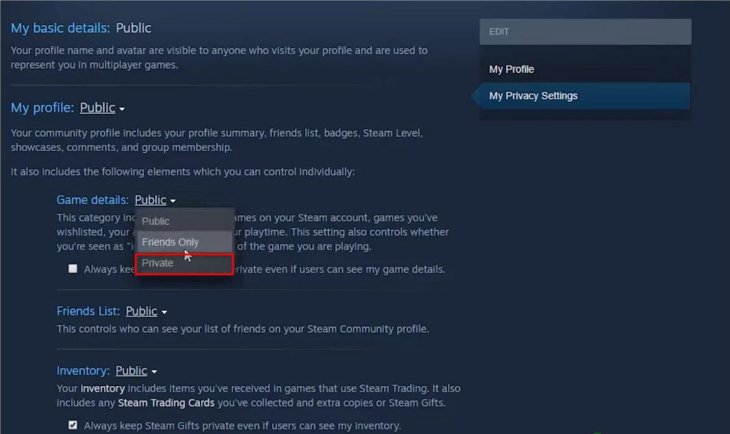 Steam Hide Game Activity: How To Make Your Activity Invisible