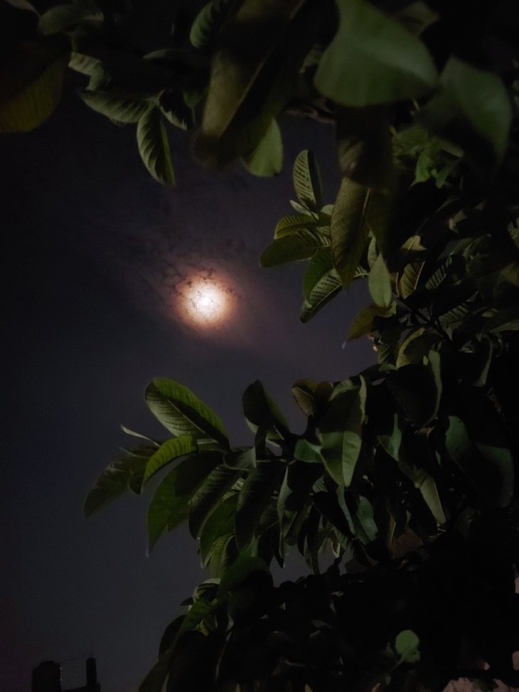 Samsung Galaxy M51 Camera Sample 6