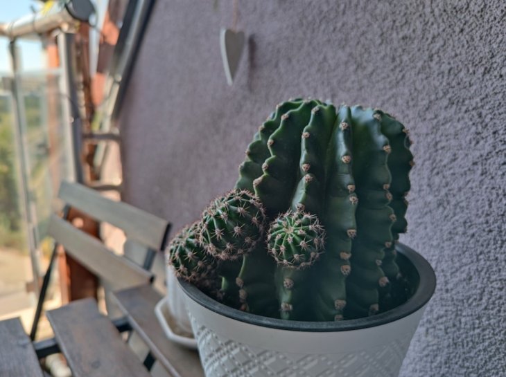 Xiaomi Mi 10 Ultra Camera Sample 5