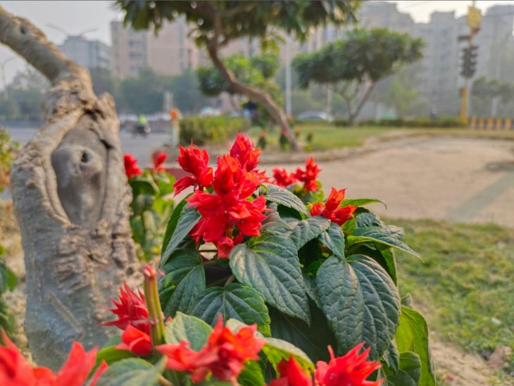 Vivo V20 Pro Camera Sample 5