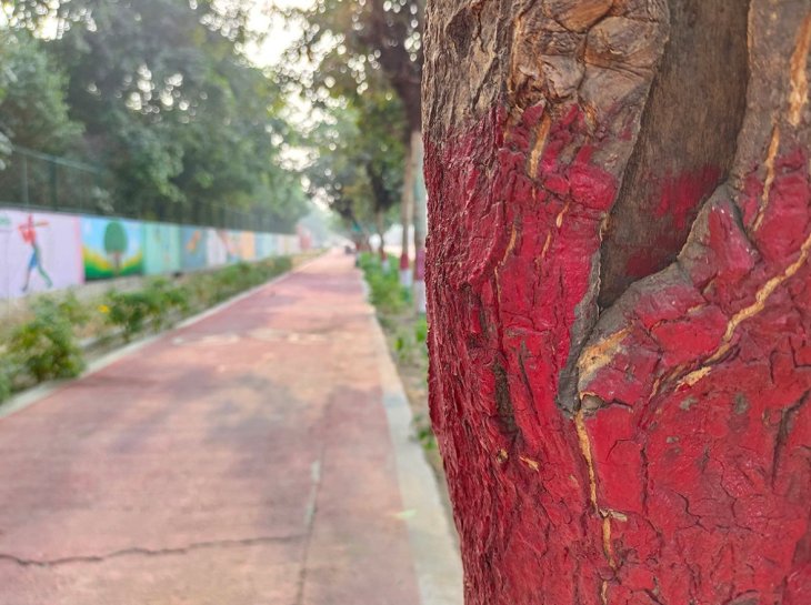 Vivo V20 Pro Camera Sample 6