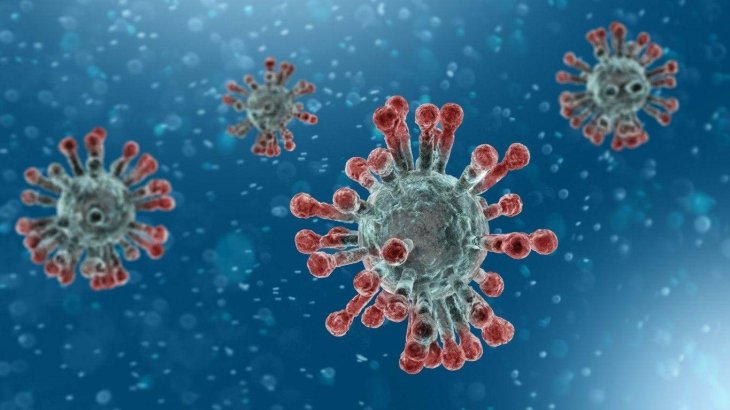 Two new variants of the coronavirus have been found in the US