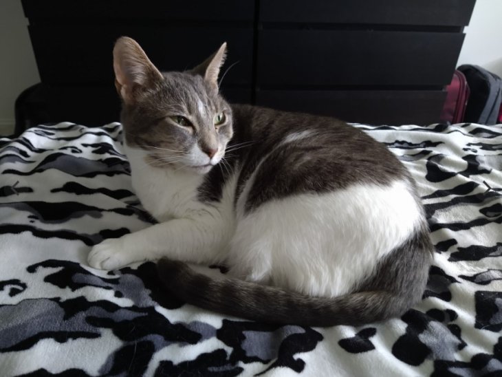 Moto G Stylus Camera Sample 1