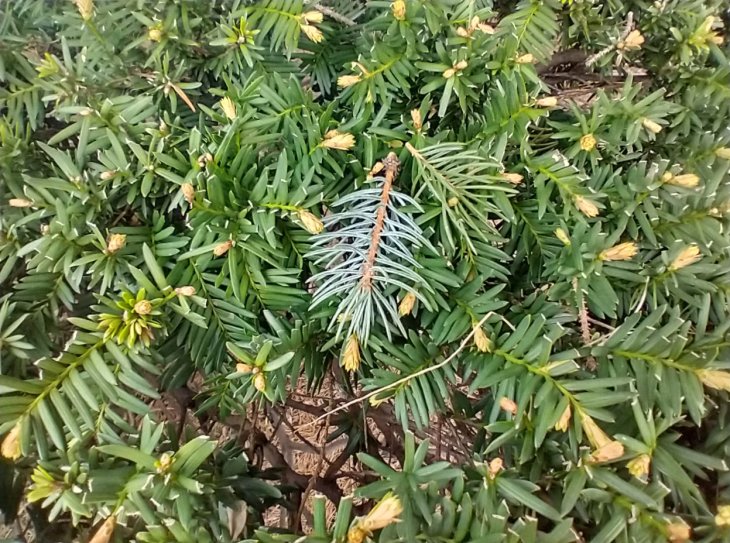 Moto G Stylus Camera Sample 2