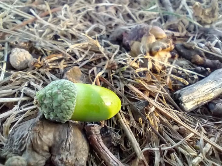 Moto G Stylus Camera Sample 3