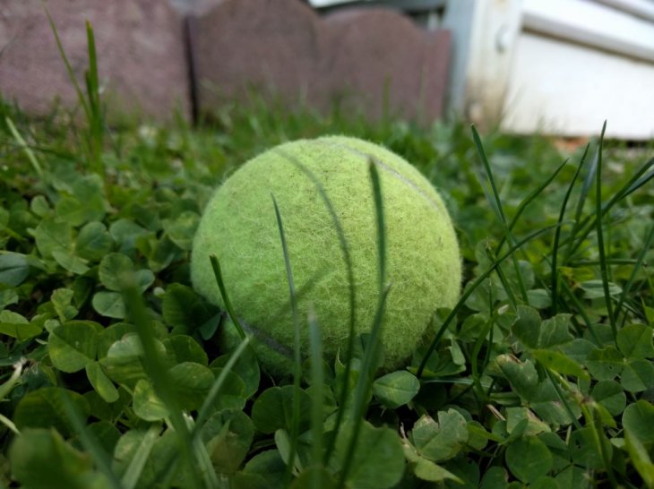 Nexus 6p Benchmarks Camera Sample 1