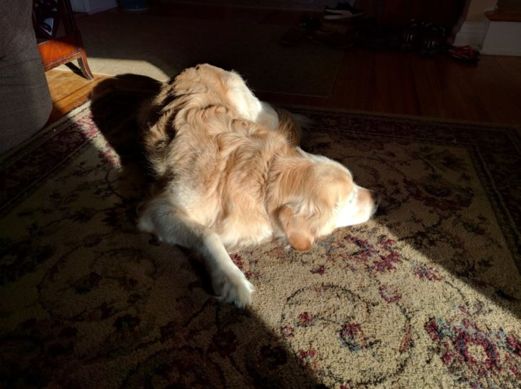 Nexus 6p Benchmarks Camera Sample 3