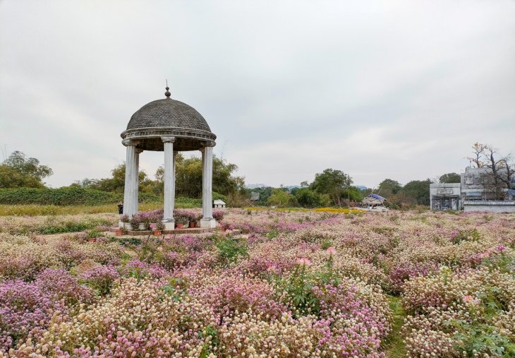 Oppo Reno5 4g Camera Sample 3