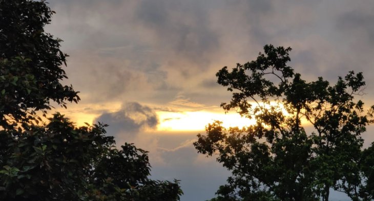 Oppo Find X2 Pro Camera Sample 3