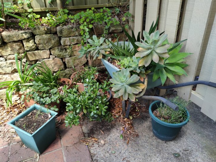 Realme 7 Pro Camera Sample 5