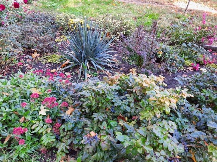 Samsung Galaxy M31s Camera Sample 5