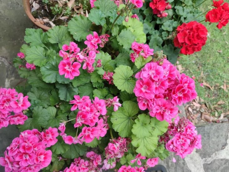 Xiaomi Mi 10 Camera Sample 4