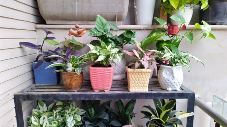 Nokia 7 2 Camera Sample 1