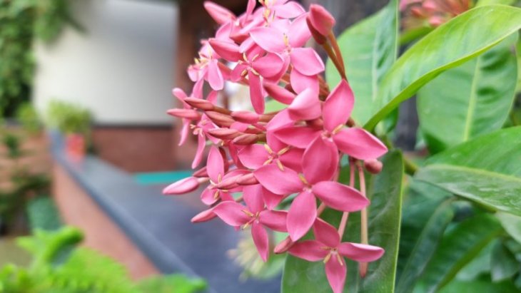 Nokia 7 2 Camera Sample 2