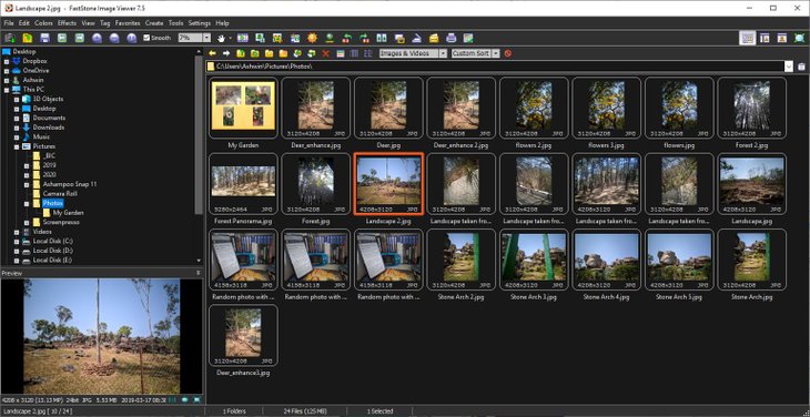replacements for picasa