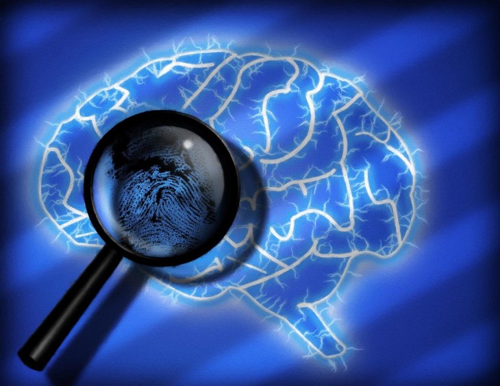 Brain Fingerprint