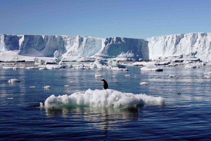 We are losing more and more ice