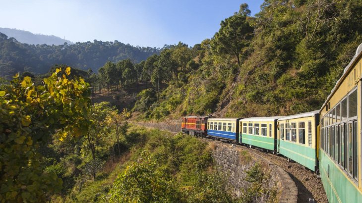Himalayan Queen