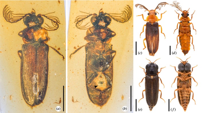 D9527c47 2985 44db Bf40 1987e5d5885e Screen Shot 2