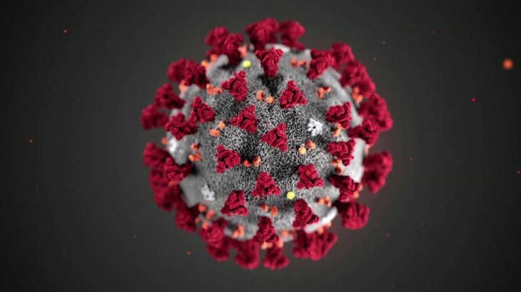 Sars Cov 2 Virus