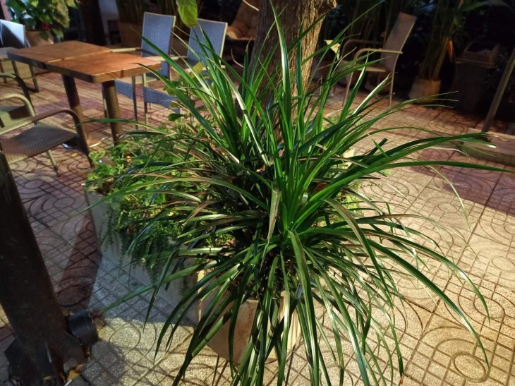 Samsung Galaxy A12 Camera Sample 3