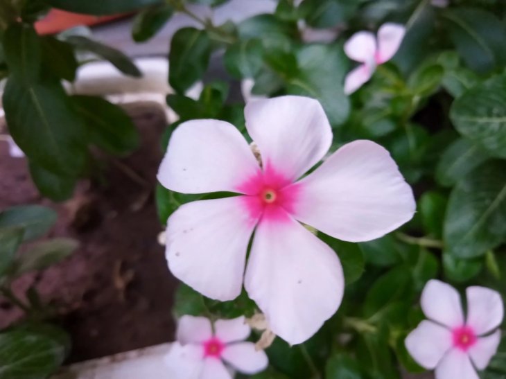 Nokia 2 2 Camera Sample 1