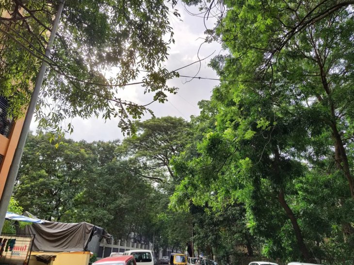 Xiaomi Mi A3 Camera Sample 6