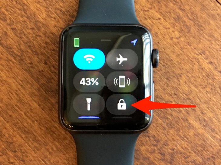 Apple Watch icons