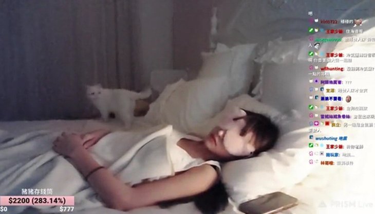 Streamer Sleep