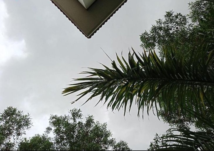 Oppo A12 Camera Sample 1