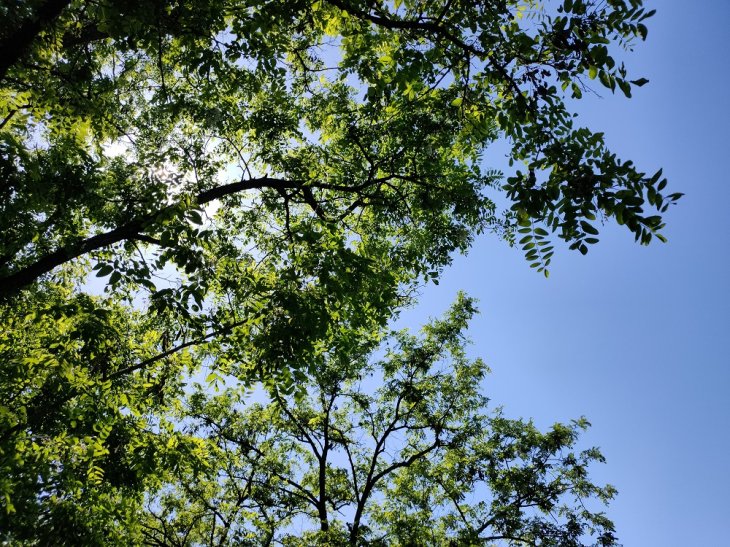 Oppo Reno3 Pro Camera Sample 2