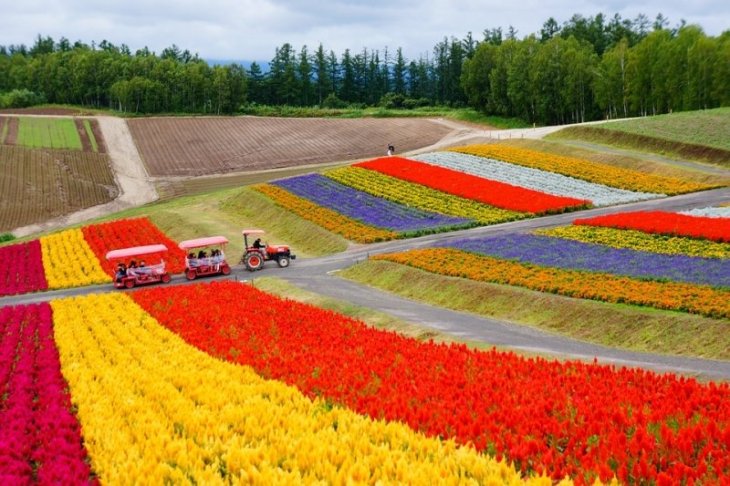 The Hokkaido Byway, Japan